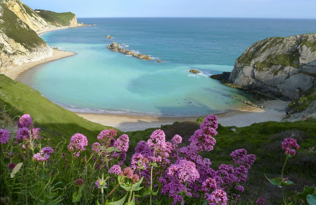 Gran Tour della Cornovaglia e Jurassic Coast