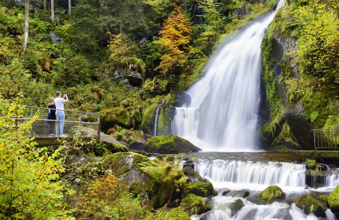 Tour della Foresta Nera, Alsazia e Svizzera 