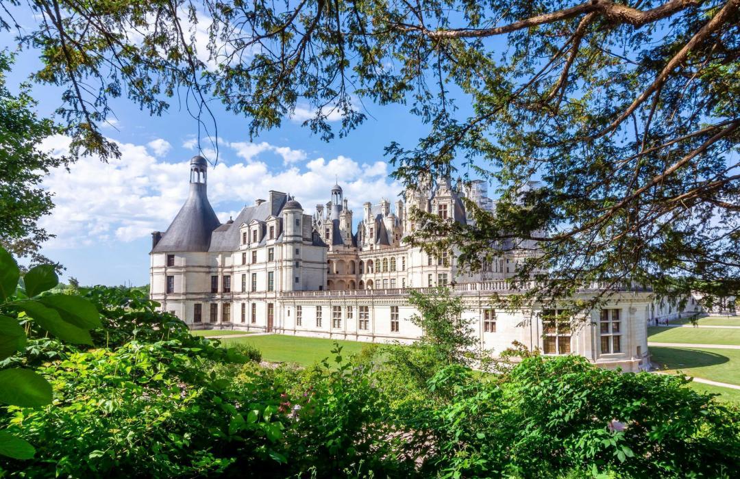 Tour dei Castelli della Loira