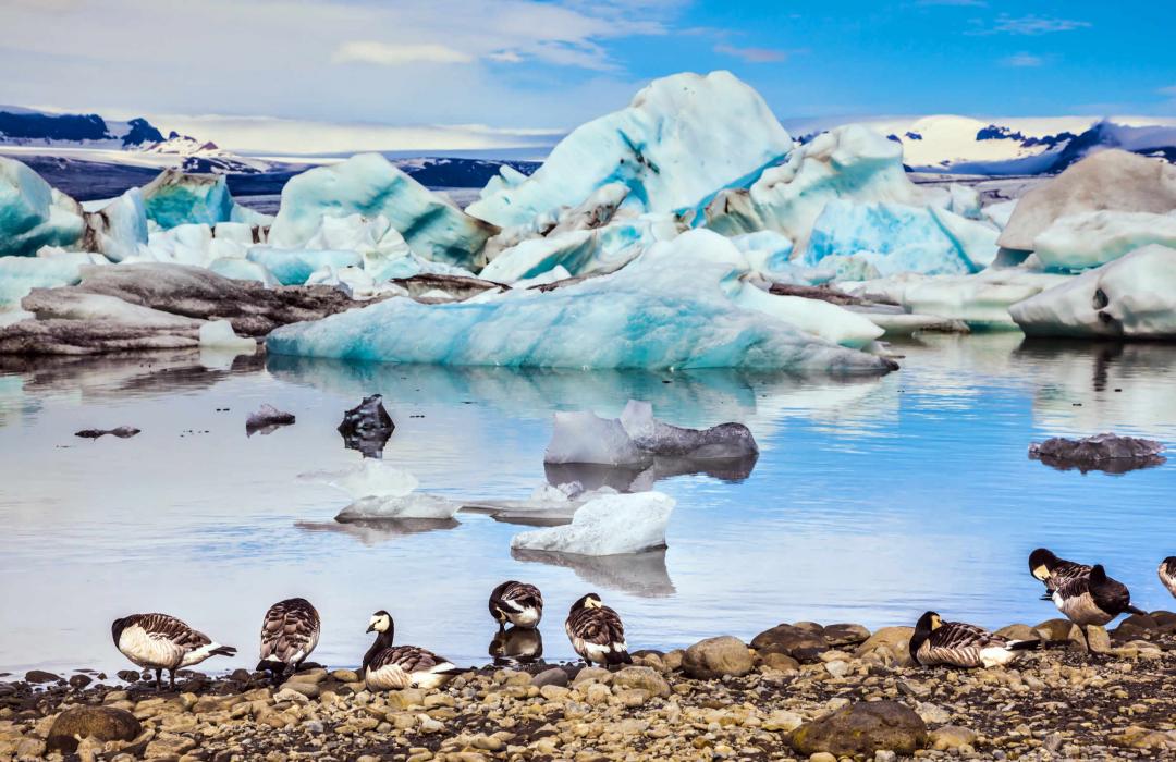 Islanda: Aurore tra i Ghiacci