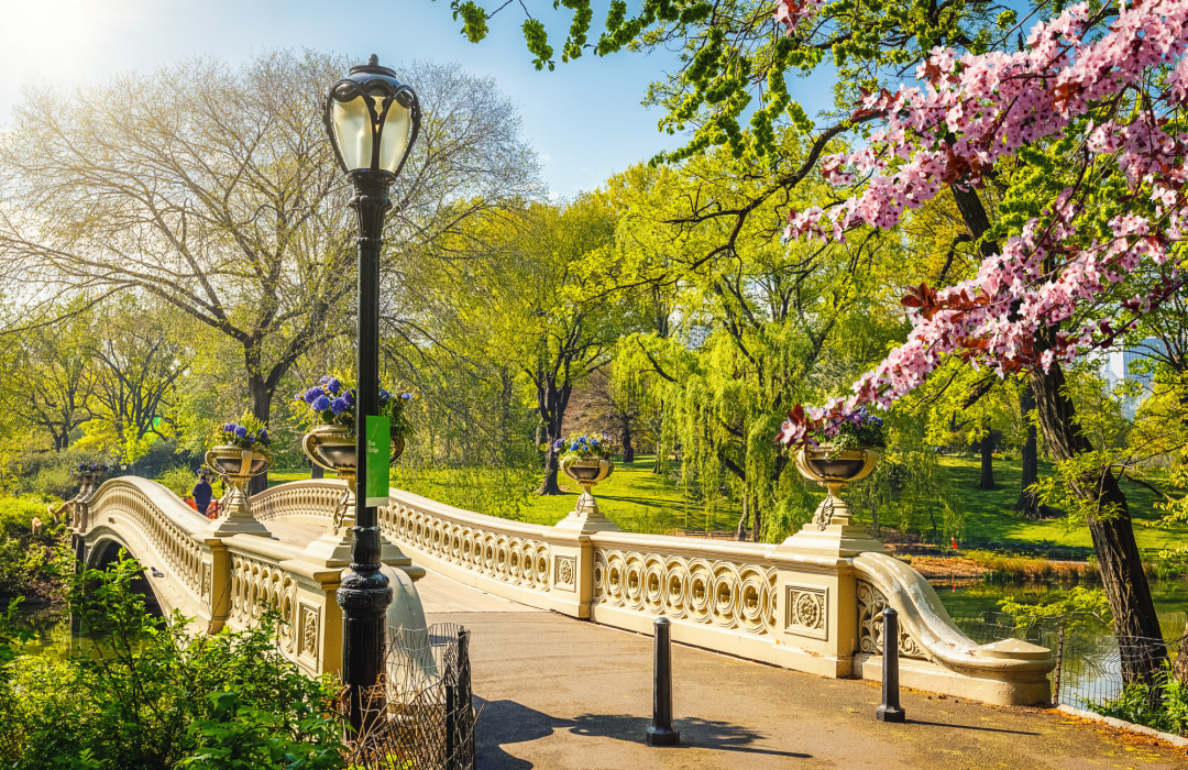 Primavera a New York 