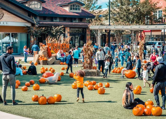 Halloween e Foliage a New York 