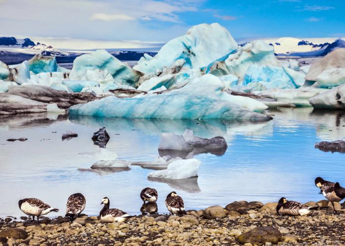 Islanda: Aurore tra i Ghiacci