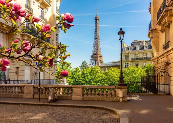 Tour Parigi, Versailles e Fontainebleau