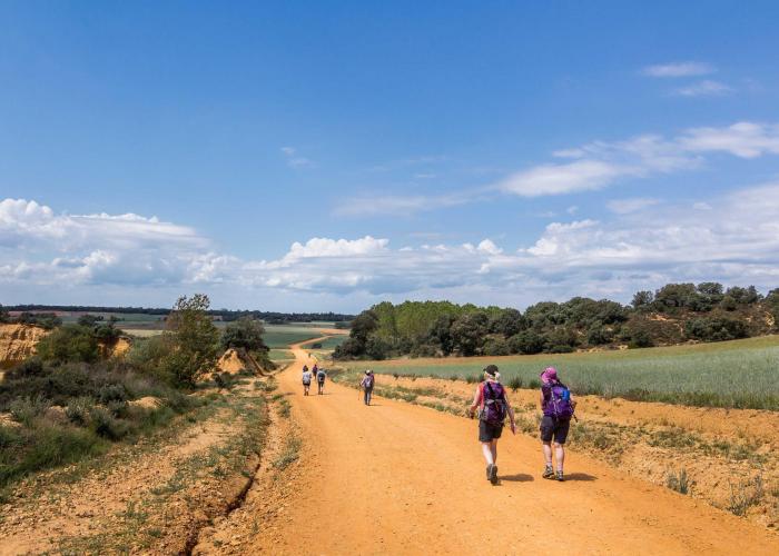 Il Cammino di Santiago 