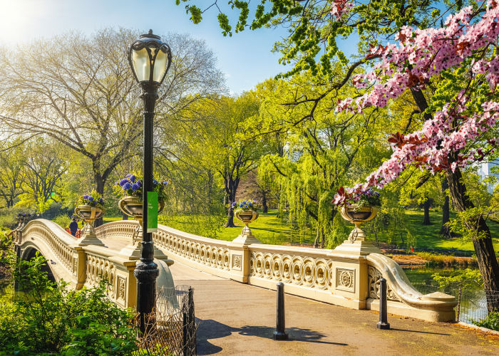 Primavera a New York 