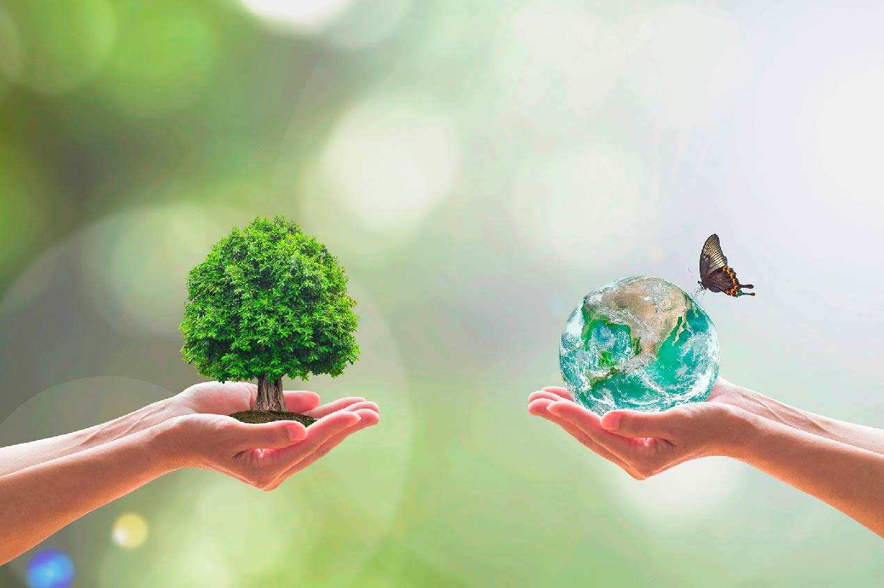 Il pullman è ecologico Il pullman è ecologico