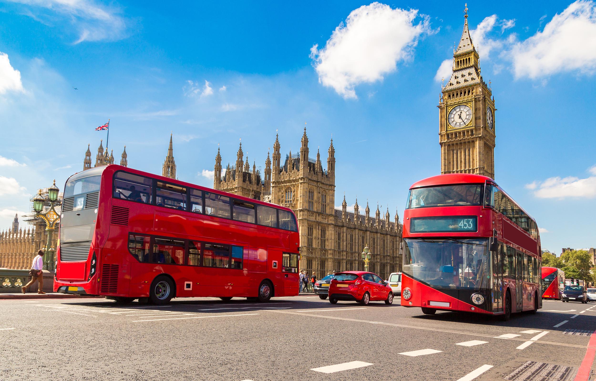 London springer