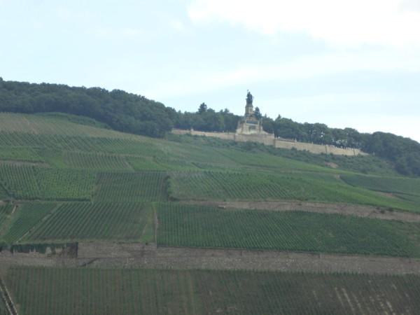 15. Vigneti: regalano sensazioni e note uniche inconfondibili di mela, menta e sentori speziati che deliziano il palato!