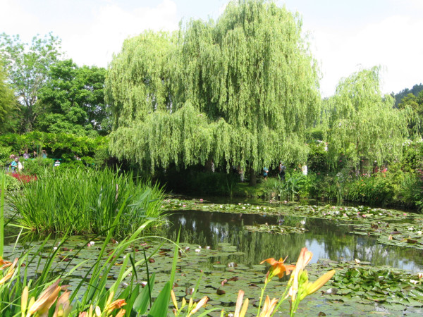 Giverny  Giardini di Monet