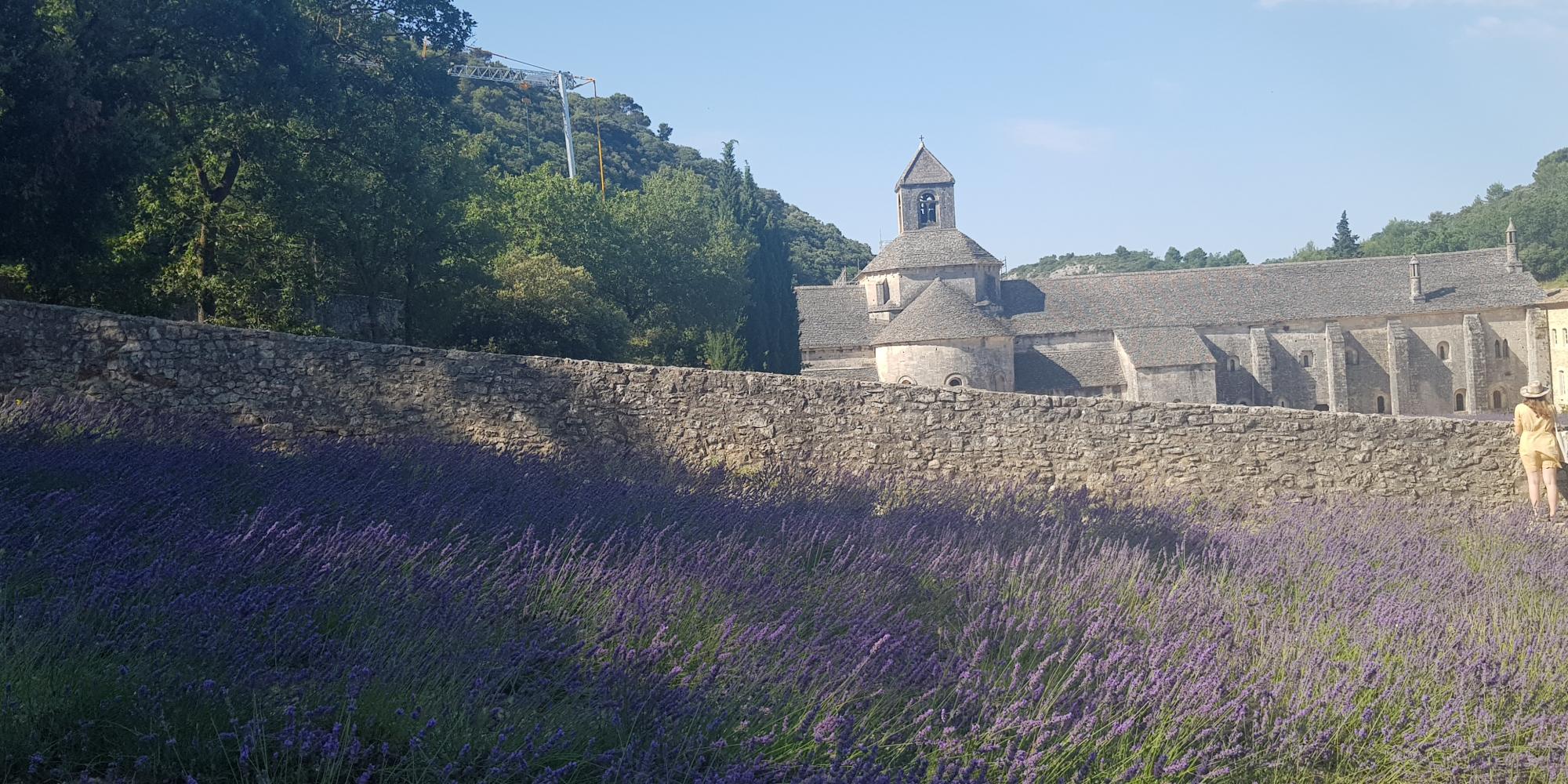 sentieri lavanda