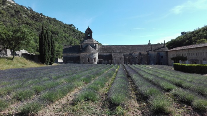 Abbazia di Senanque