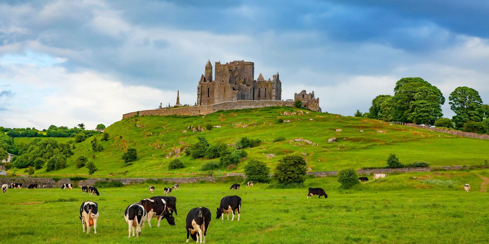 Rocca Cashel Rocca Cashel