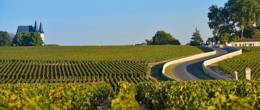 La regione del Medoc La regione del Medoc