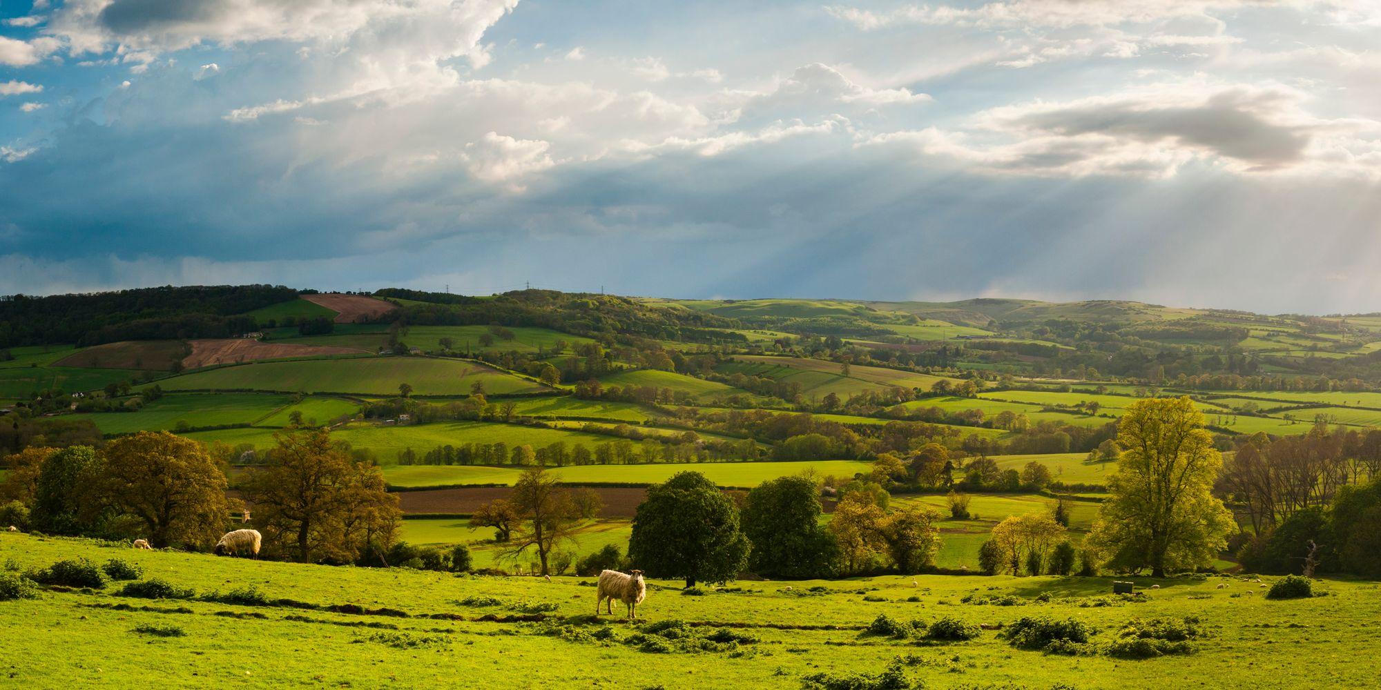 Viaggio in Inghilterra - Cotswolds Viaggio in Inghilterra - Cotswolds