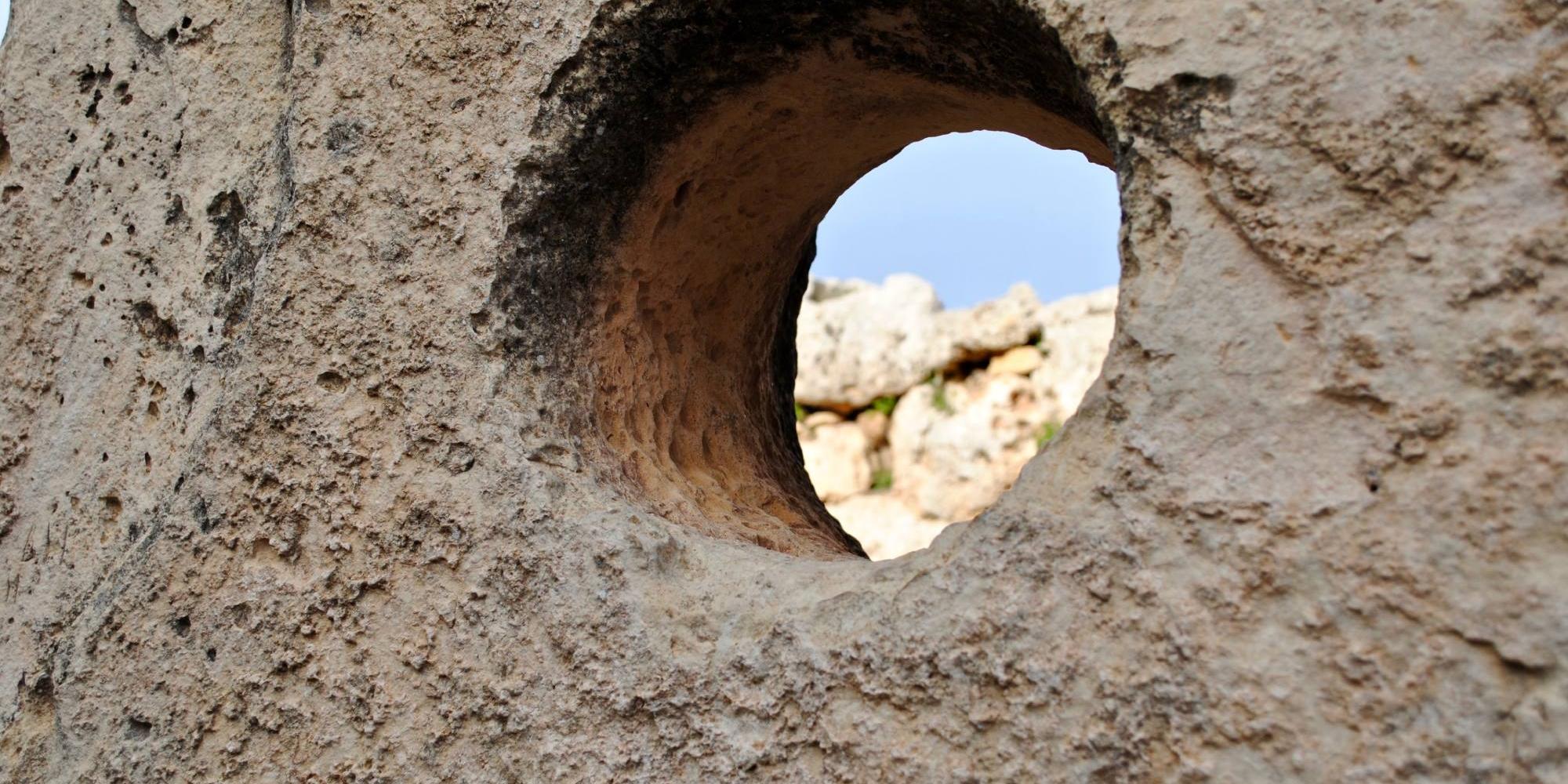 gozo6 gozo6