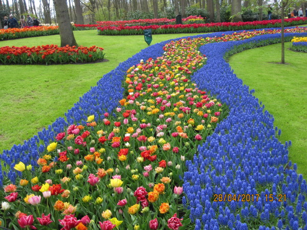 Parco Floreale di Keukenhof