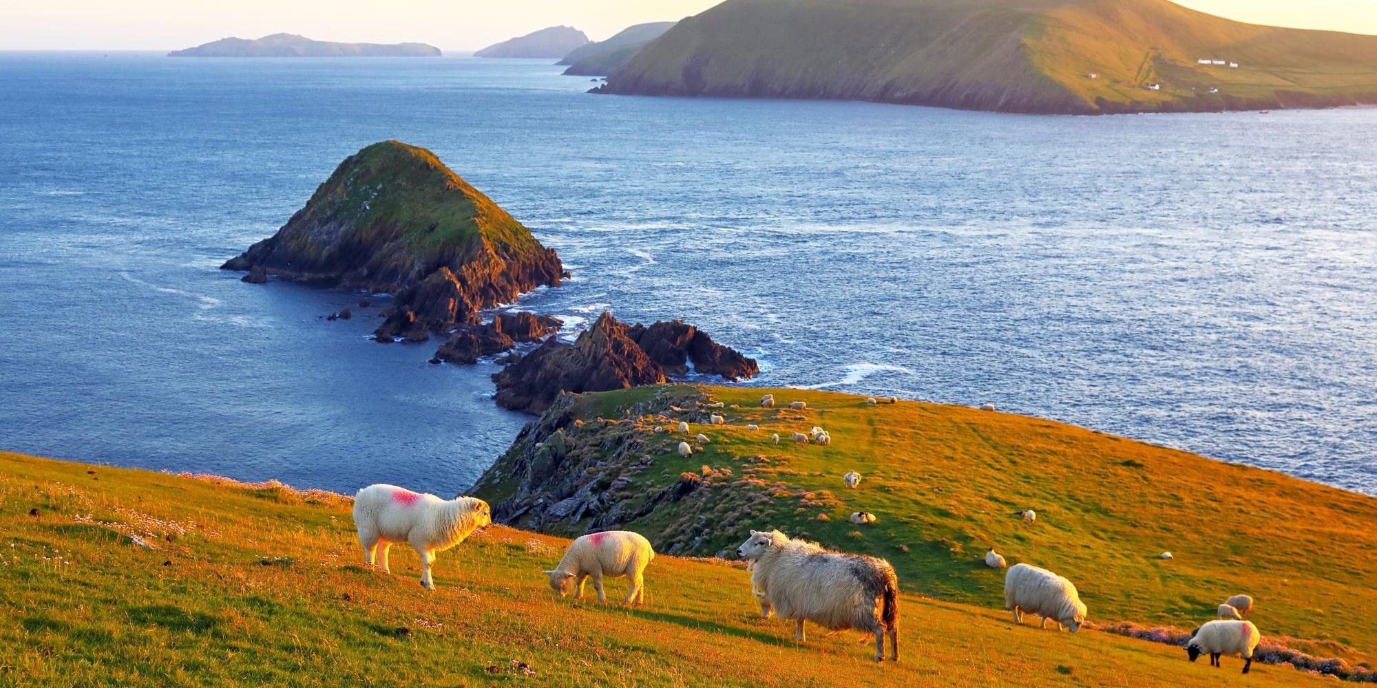 Viaggio in Irlanda - Penisola di Dingle