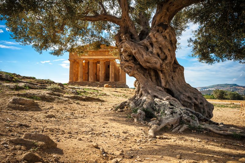 Agrigento