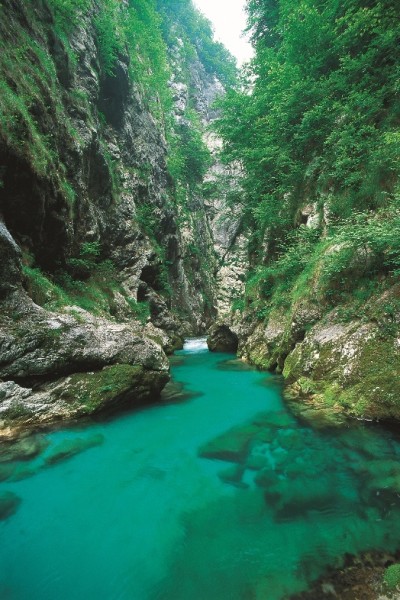 Lacqua color smeraldo del fiume Isonzo