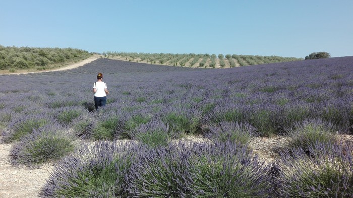 Manosque