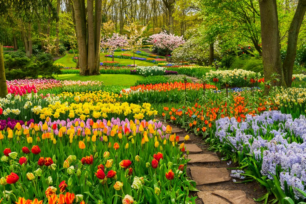 Il Parco Floreale di Keukenhof