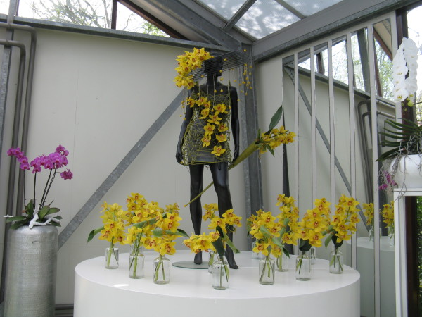 Padiglione delle orchidee (Keukenhof)