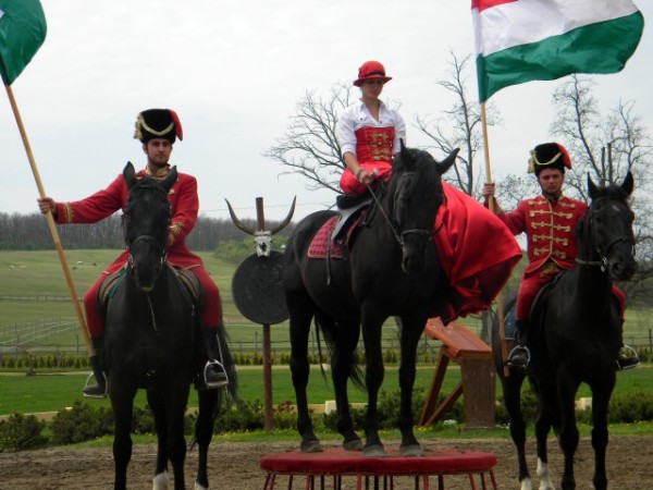 Spettacolo equestre