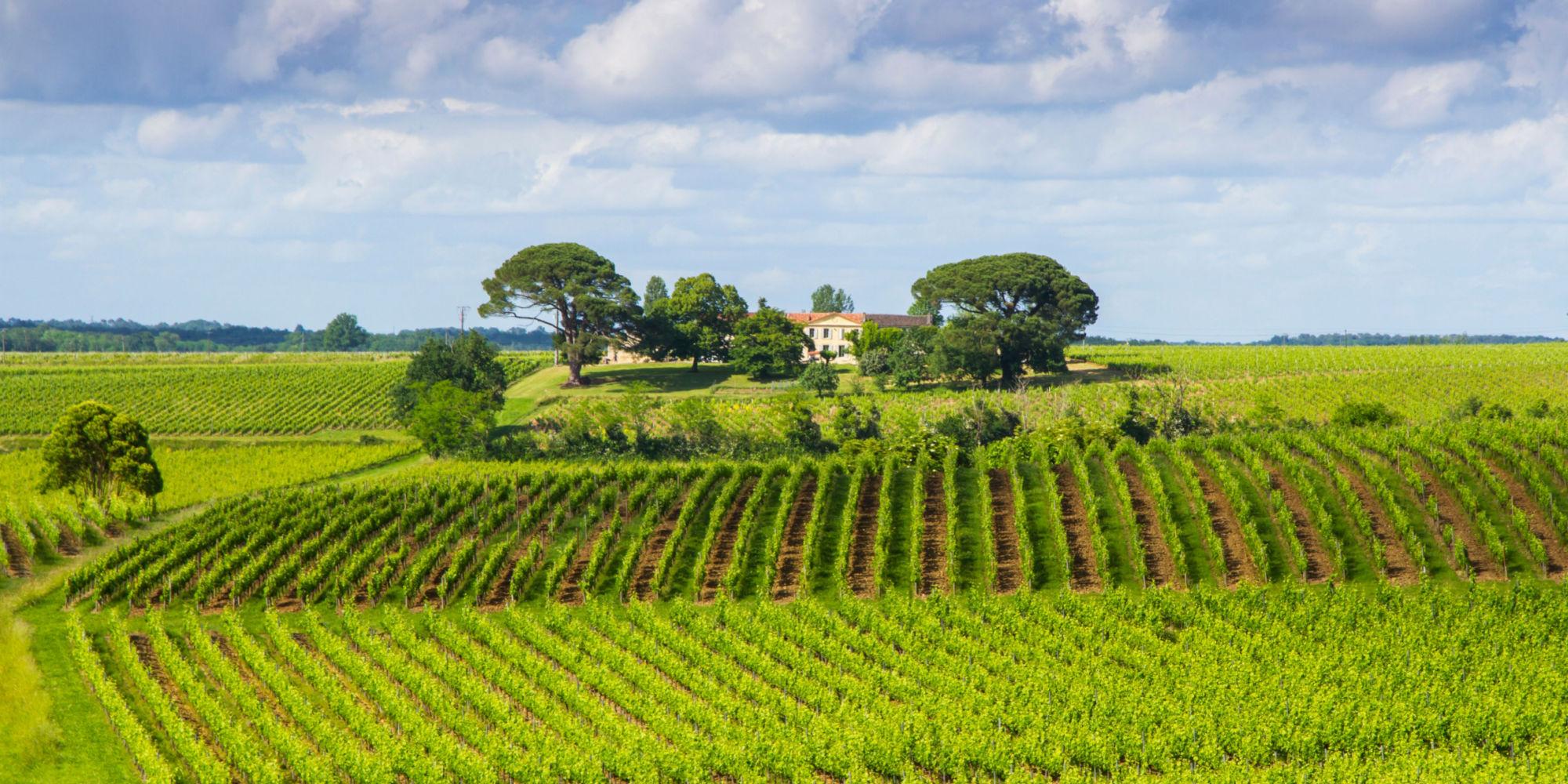 bordeaux e dintorni 