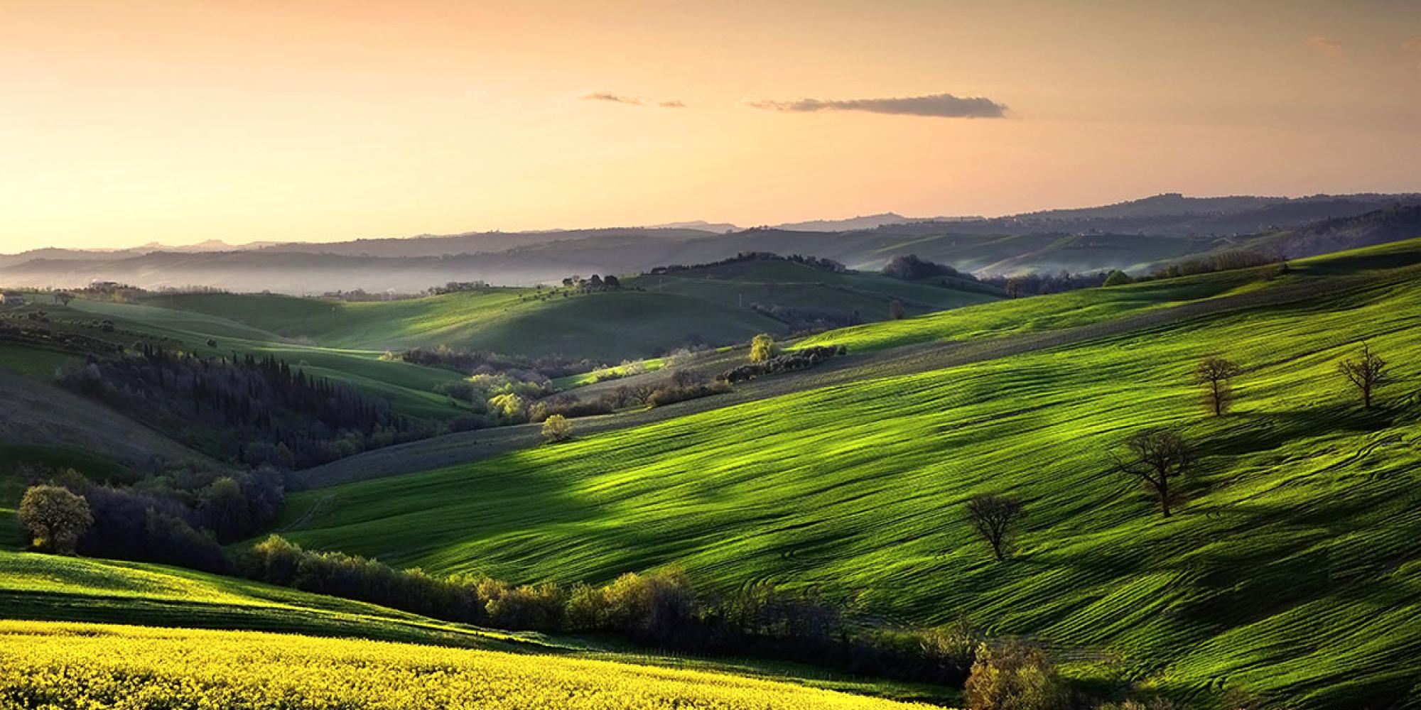 Colline Marchigiane