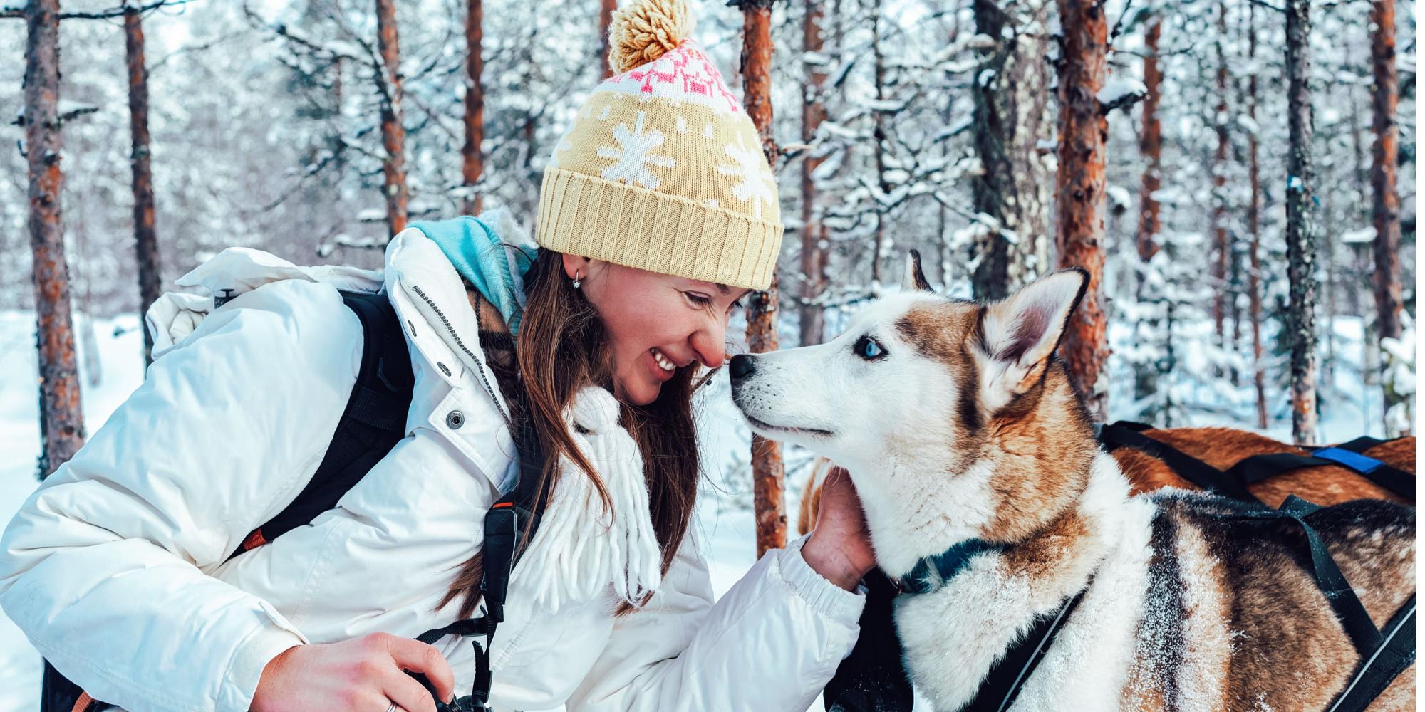 cosa vedere a rovaniemi 