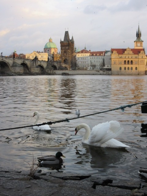 Praga: Ponte Carlo