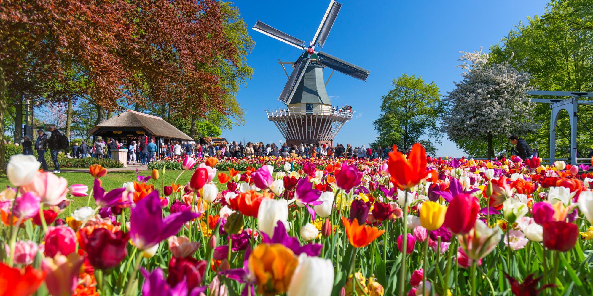 parco di keukenhof 