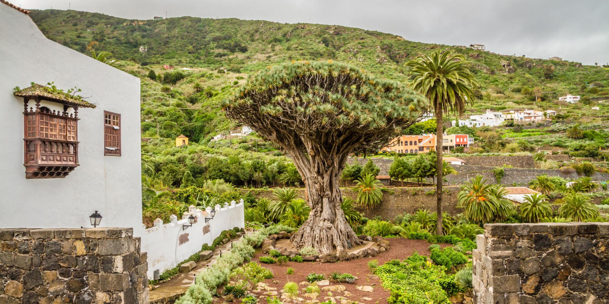 periodo migliore per andare a tenerife 