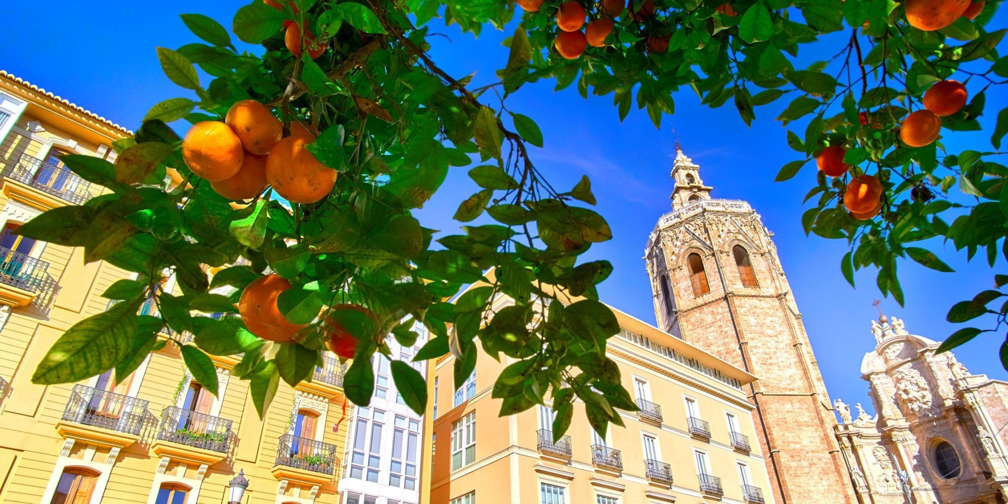 posti da visitare a valencia 