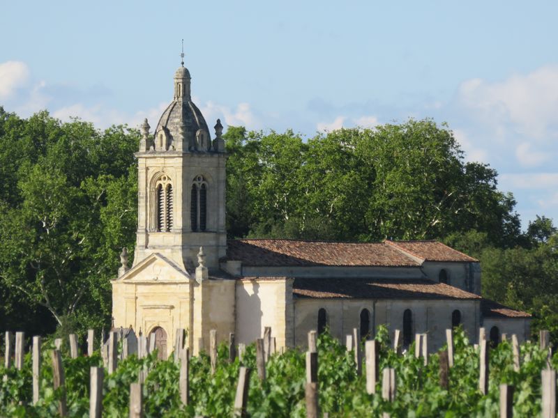 Vigneti del Medoc