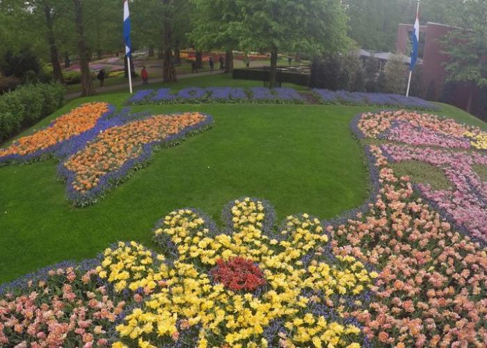 Keukenhof Keukenhof