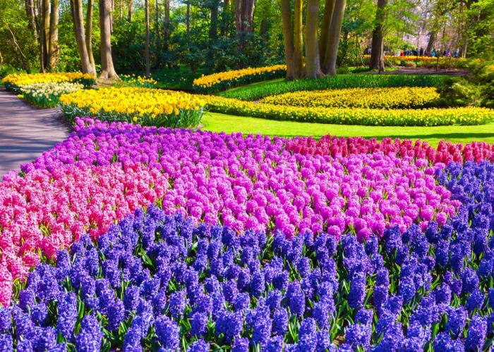 Keukenhof