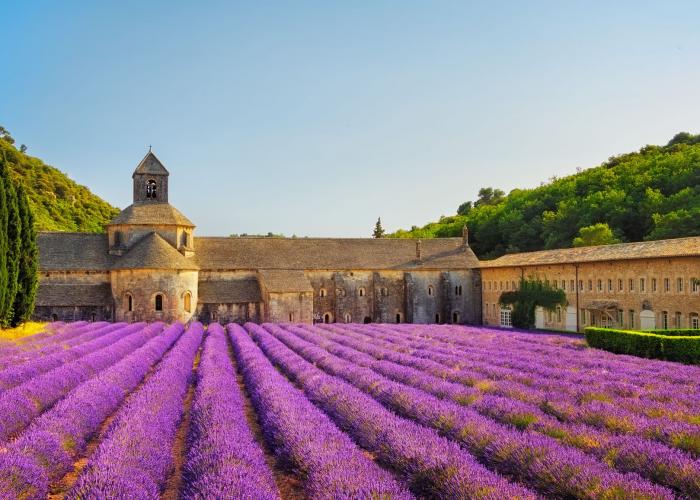 Senanque - Provenza Abbazia di Senanque