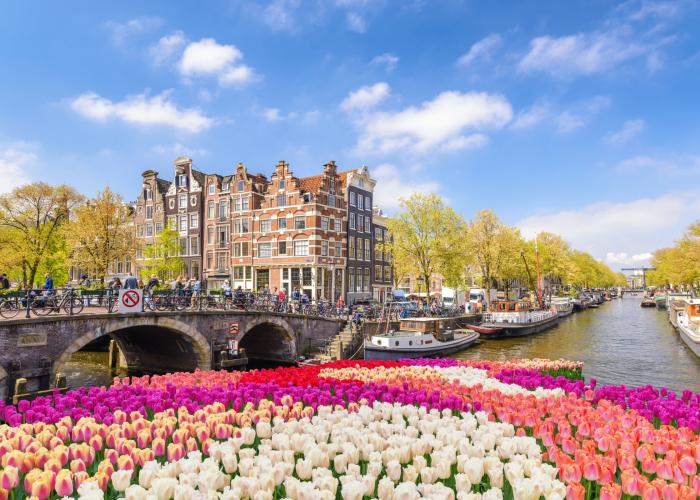 amsterdam curiosita amsterdam curiosita