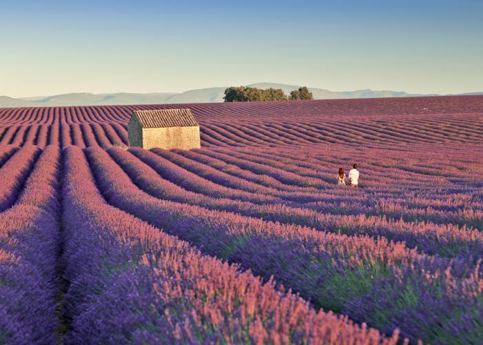 cosa vedere in provenza