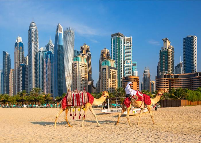 cosa vedere negli emirati arabi 