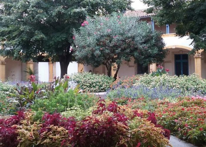 Provenza - Camargue Provenza - Camargue