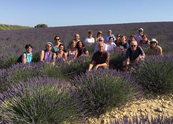 Provenza lavanda viaggio caldana Provenza lavanda viaggio caldana