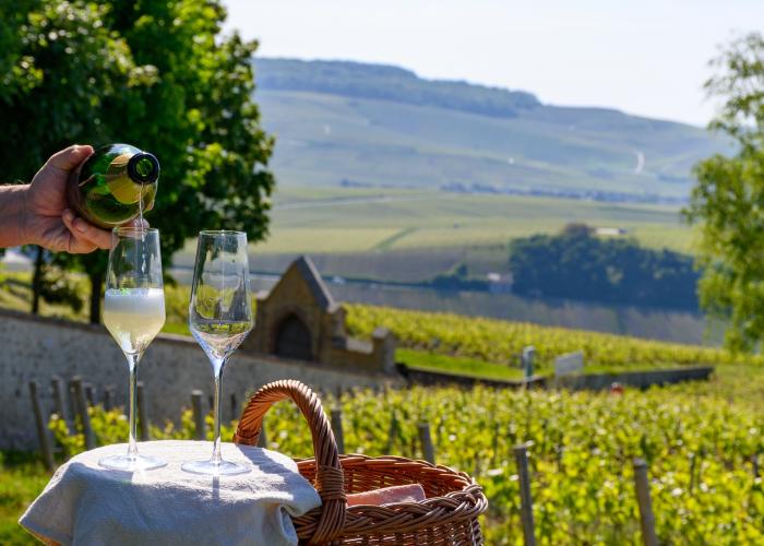 regione dello champagne cosa vedere  regione dello champagne cosa vedere