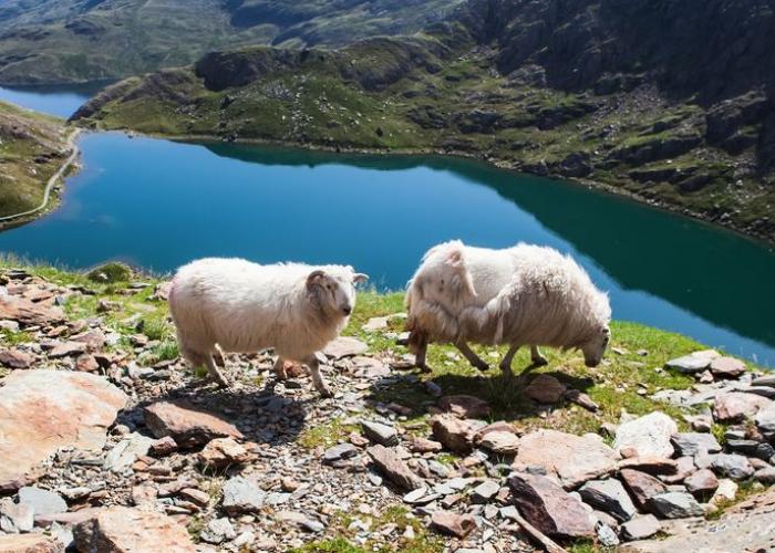 Snowdonia national park Snowdonia national park