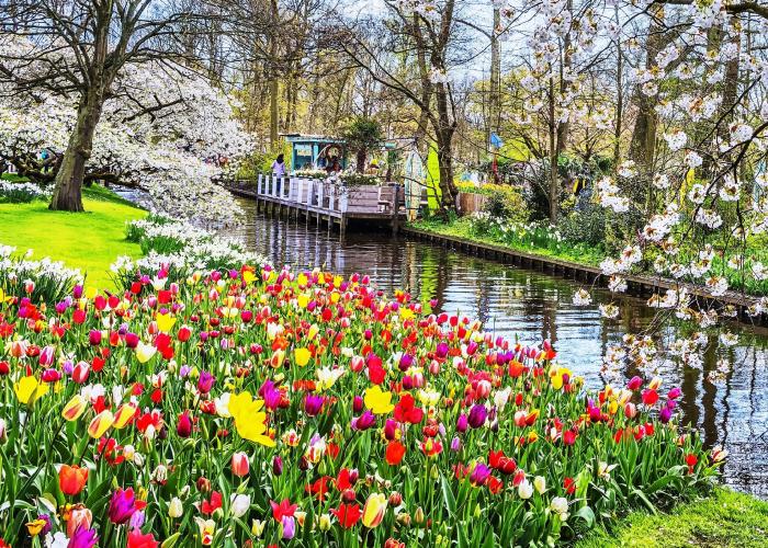 parco di keukenhof 