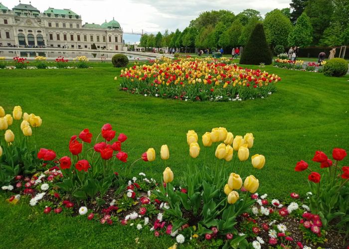 Vienna Vienna