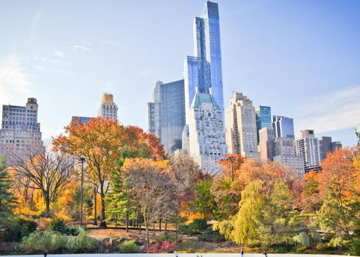 visitare new york a novembre 
