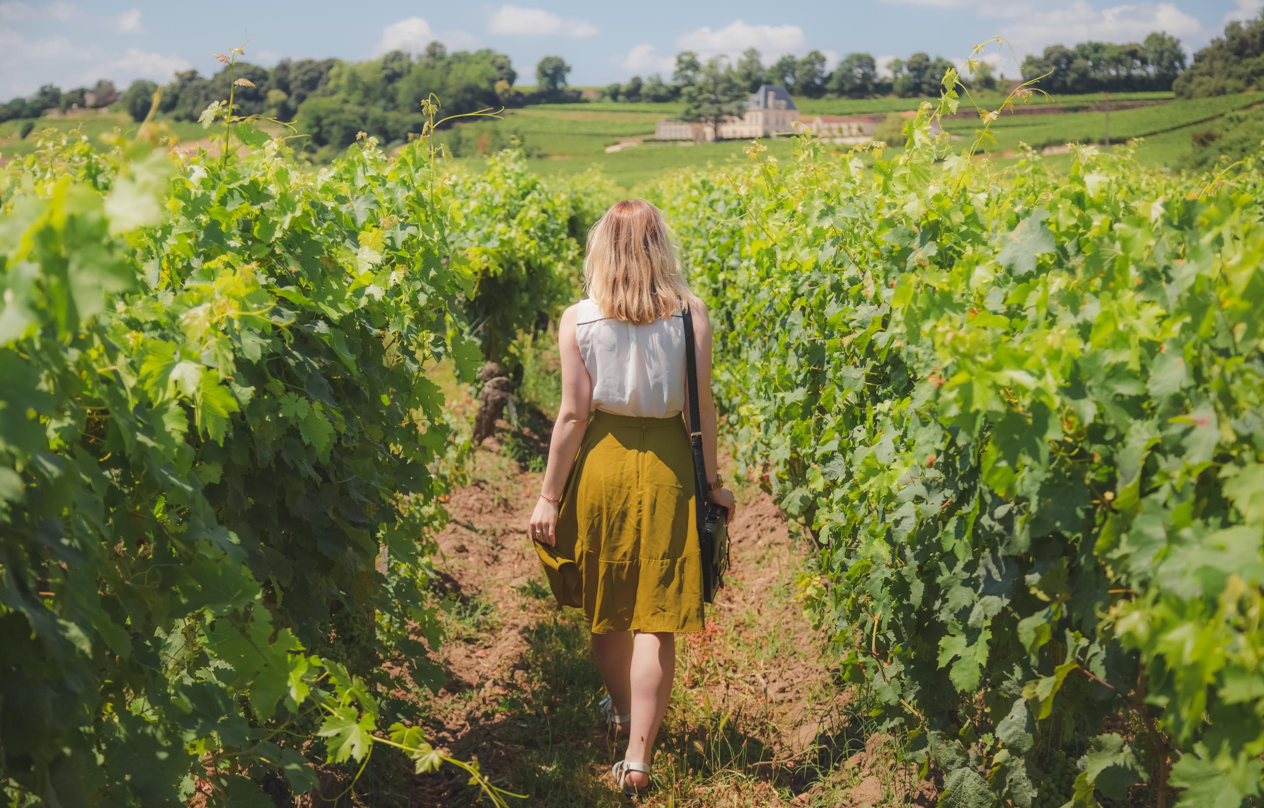 Terra di vini e di bellezze ecco il tour della Francia Sud Occidentale